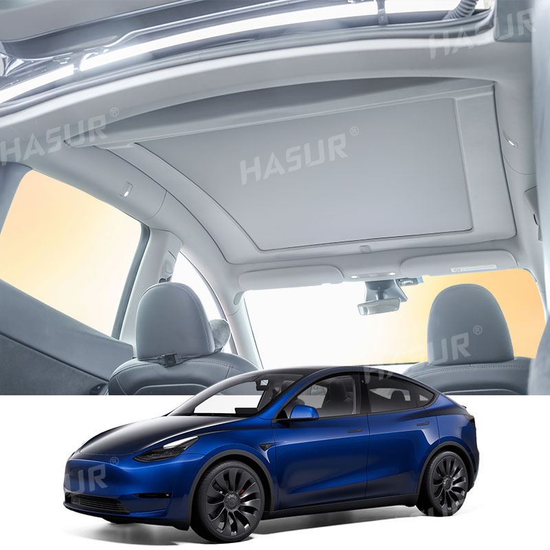 20-24 MODEL Y
